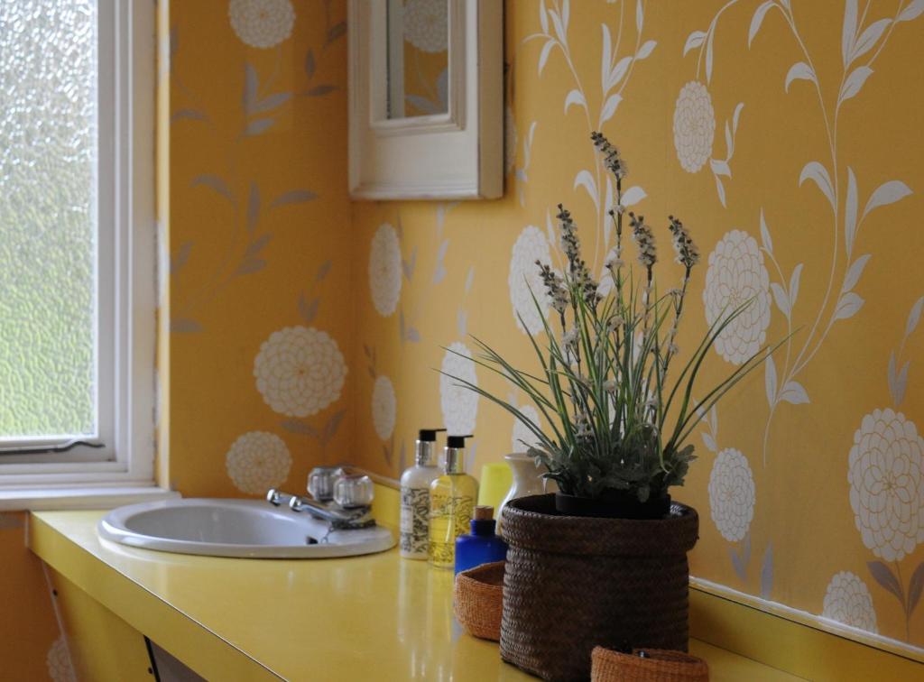 Fron Deg Guest House Harlech Quarto foto